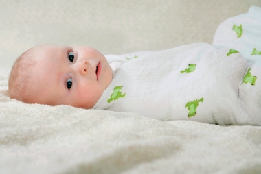 Aden&Anais набор 4 больших муслиновых пеленок, Mod about Baby (ребенок)