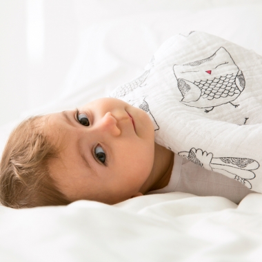Муслиновые пеленки для новорожденных Aden&Anais средние, набор 3, Love Bird