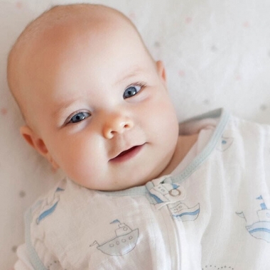 Спальный мешок SwaddleDesigns Sterling Starshine