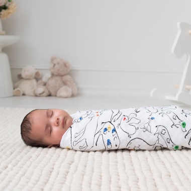Муслиновые пеленки Aden&Anais для новорожденных, большие, набор 4, Color Pop