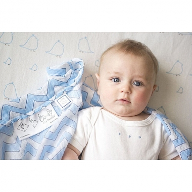 Набор пеленок SwaddleDesigns Swaddle Duo BL Big Chickies