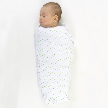 Набор пеленок SwaddleDesigns - Swaddle Duo, Circus Fun Blue