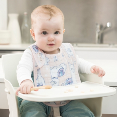 Слюнявчик Aden&Anais, набор 3, Trail Blooms