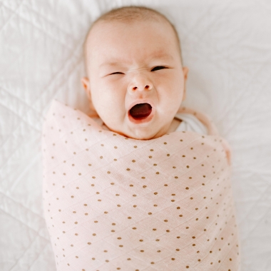 Муслиновые пеленки для новорожденных Aden&Anais, большие, набор 4, Dahlias