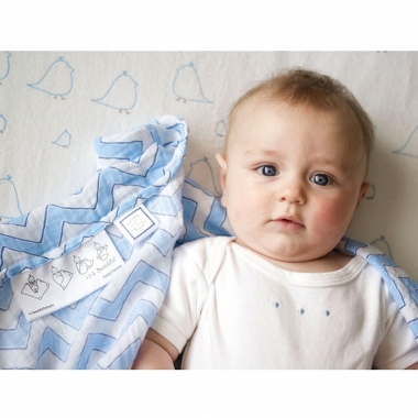 Набор пеленок SwaddleDesigns Swaddle Duo BL Chickies/Chevron