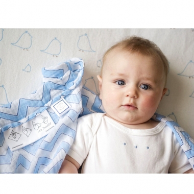 Набор пеленок SwaddleDesigns Swaddle Duo Blue Classic Chevron