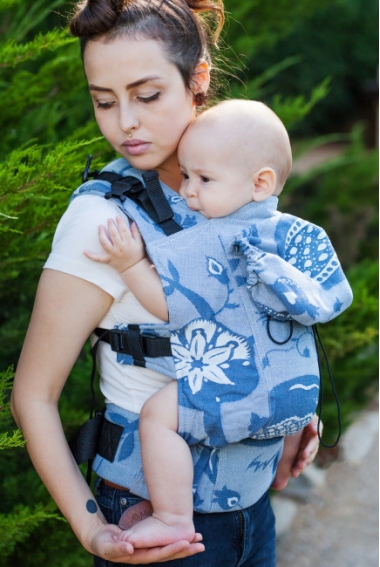 Эрго-рюкзак Hibuki Pomegranates Daniel, Classic