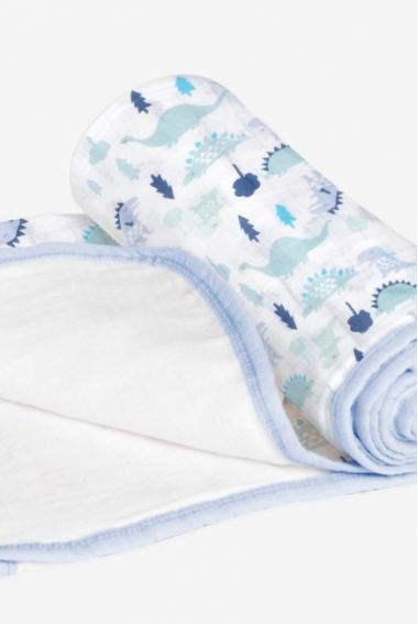 Одеяло муслиновое для коляски Aden by Aden Anais, Dinos