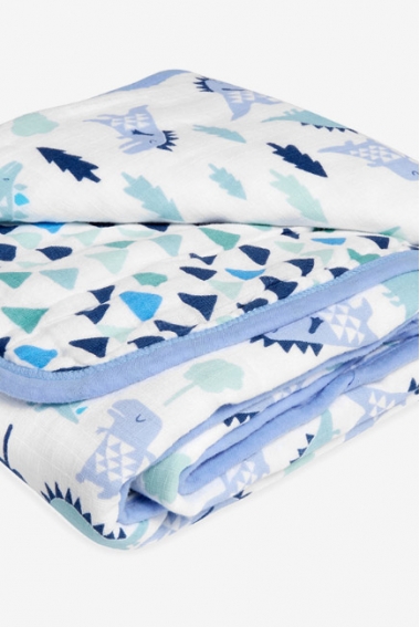 Муслиновое одеяло Aden by Aden Anais, Dinos