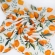 Муслиновая пеленка с бамбуком Diva большая, Orange